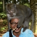 monkey_balinese_smf_v_0699_bal0381.jpg